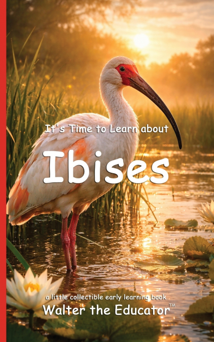 It’s Time to Learn about Ibises