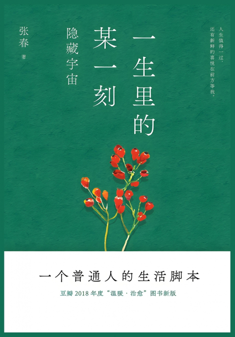 一生里的某一刻：隐藏宇宙