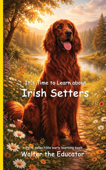 It’s Time to Learn about Irish Setters