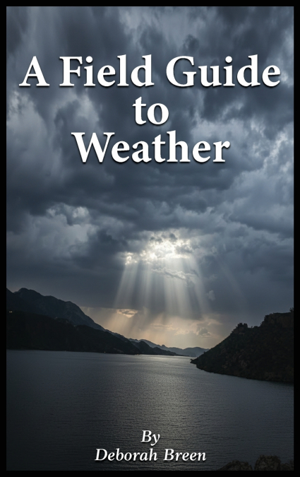 A Field Guide To Weather