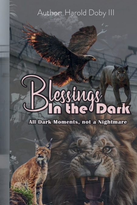 Blessings in the Dark