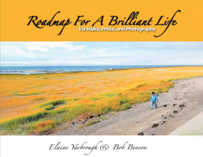ROADMAP FOR A BRILLIANT LIFE