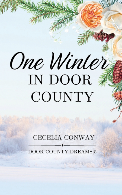 One Winter in Door County