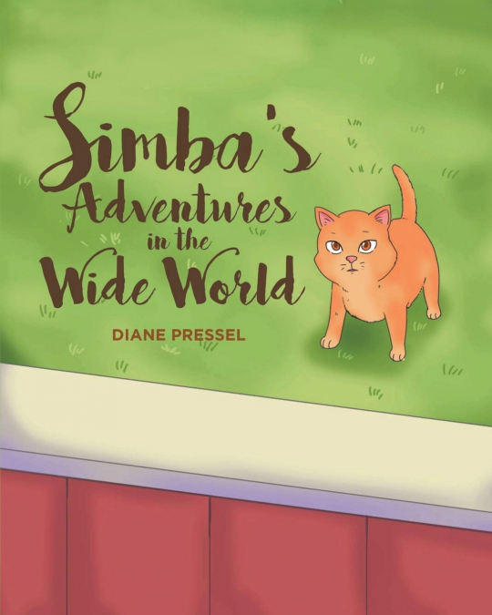 Simba’s Adventures in the Wide World