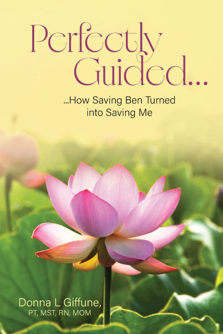 Perfectly Guided...
