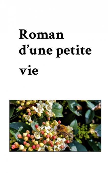 Roman d’une petite vie