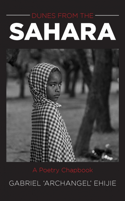 Dunes From the Sahara