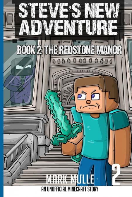 Steve’s New Adventure Book 2