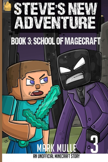 Steve’s New Adventure Book 3