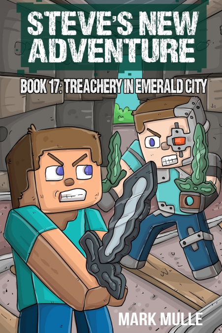Steve’s New Adventure Book 17