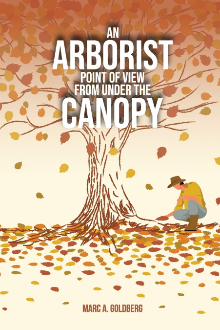 An Arborist Point Of View From Under The Canopy