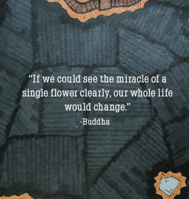 THE SEED