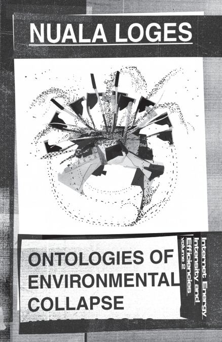 Ontologies of Environmental Collapse