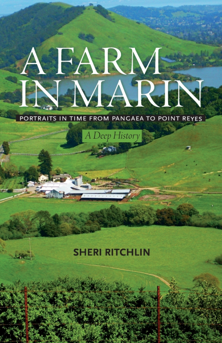 A Farm in Marin