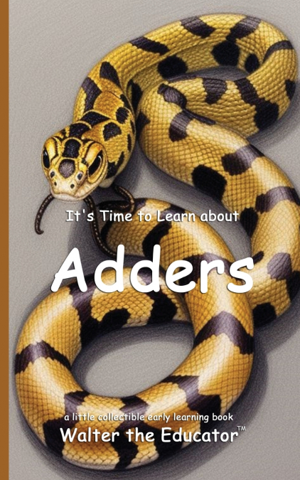 It’s Time to Learn about Adders