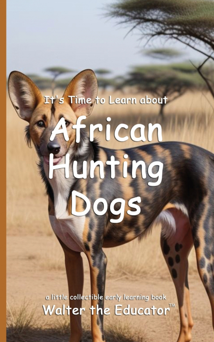 It’s Time to Learn about African Hunting Dogs