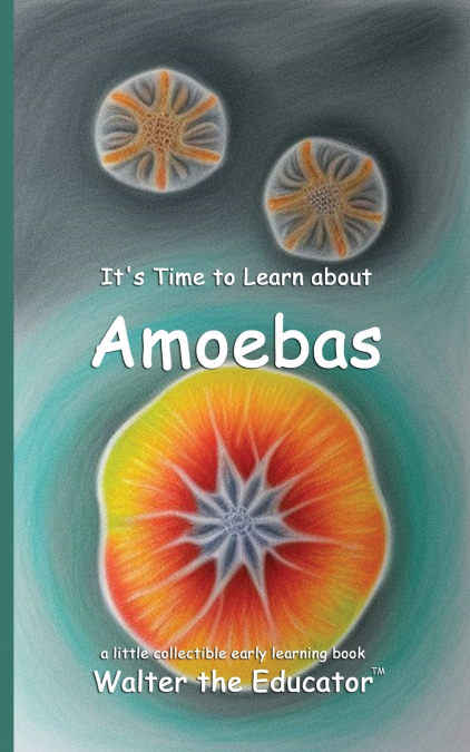 It’s Time to Learn about Amoebas