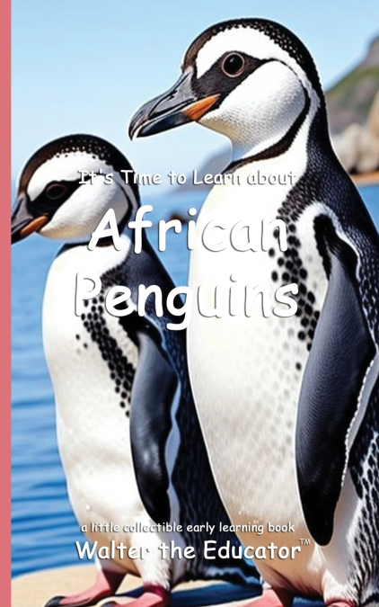 It’s Time to Learn about African Penguins