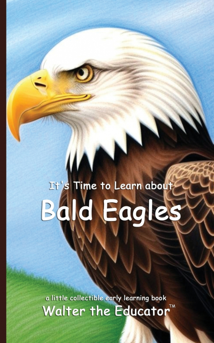It’s Time to Learn about Bald Eagles