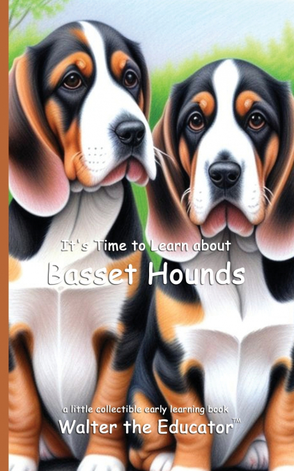 It’s Time to Learn about Basset Hounds