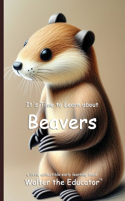 It’s Time to Learn about Beavers