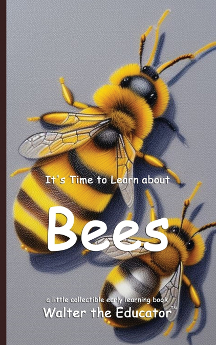 It’s Time to Learn about Bees