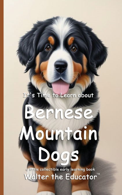 It’s Time to Learn about Bernese Mountain Dogs