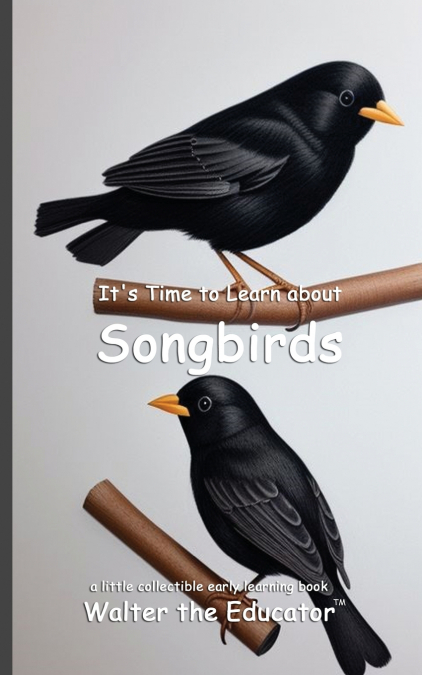 It’s Time to Learn about Songbirds