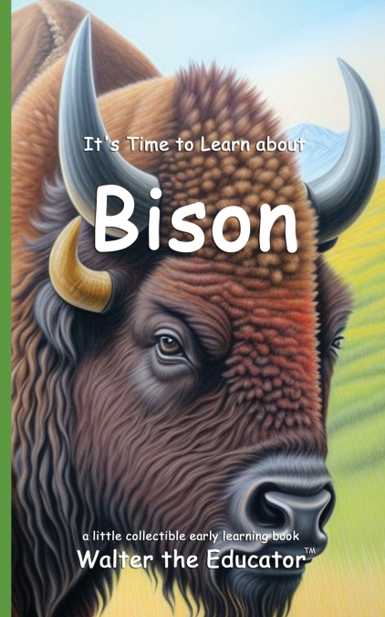 It’s Time to Learn about Bison
