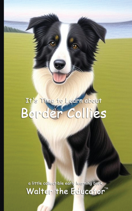 It’s Time to Learn about Border Collies