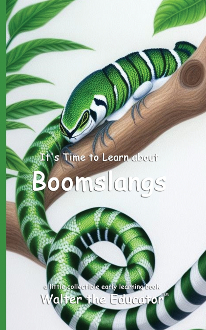It’s Time to Learn about Boomslangs
