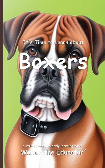 It’s Time to Learn about Boxers