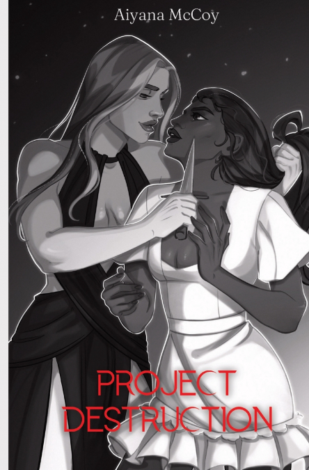 Project Destruction