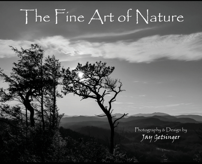 The Fine Art of Nature