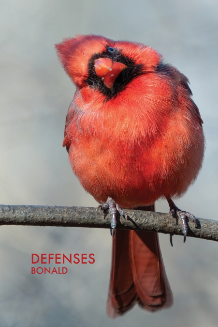 Defenses