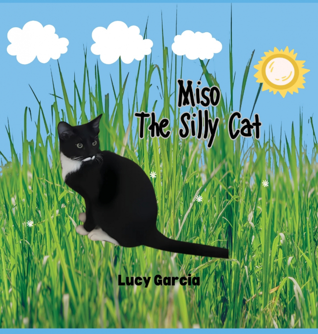 Miso The Silly Cat
