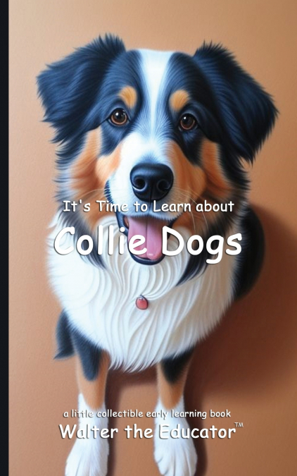 It’s Time to Learn about Collie Dogs