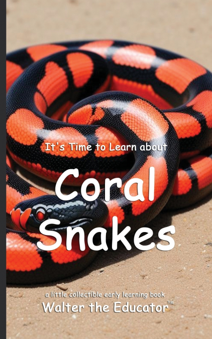 It’s Time to Learn about Coral Snakes