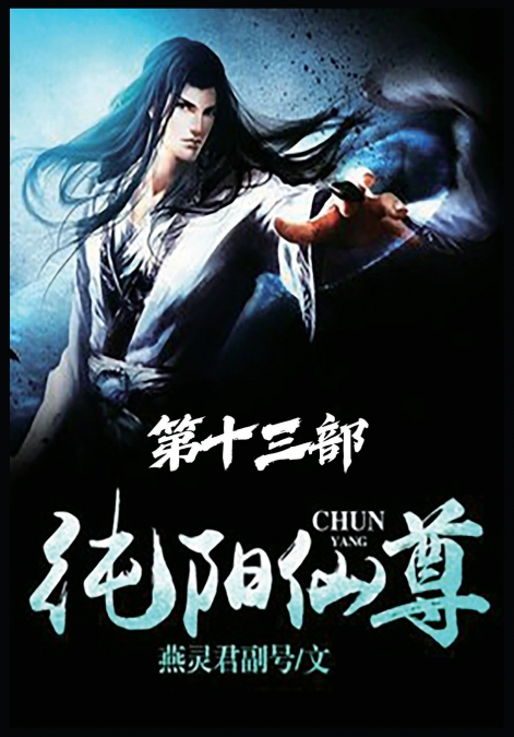 纯阳仙尊：第十三部