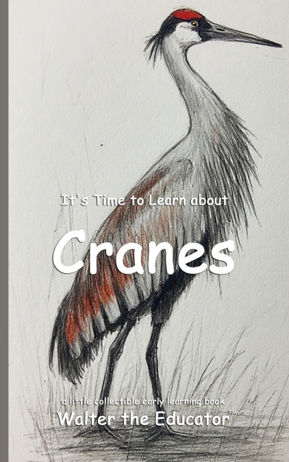 It’s Time to Learn about Cranes
