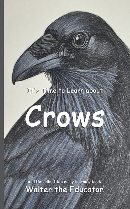 It’s Time to Learn about Crows