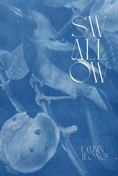 Swallow