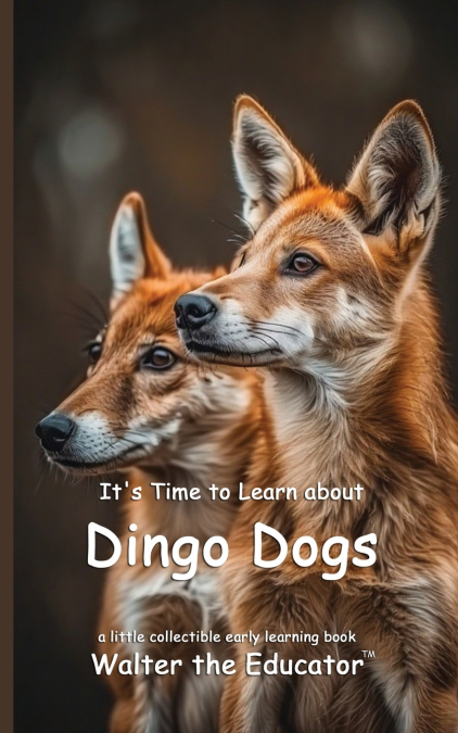 It’s Time to Learn about Dingo Dogs