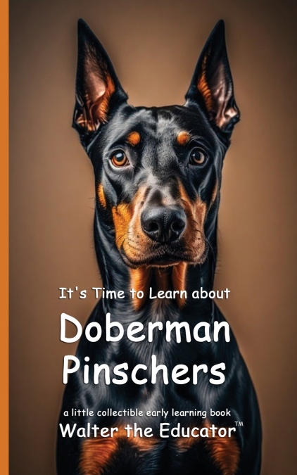 It’s Time to Learn about Doberman Pinschers