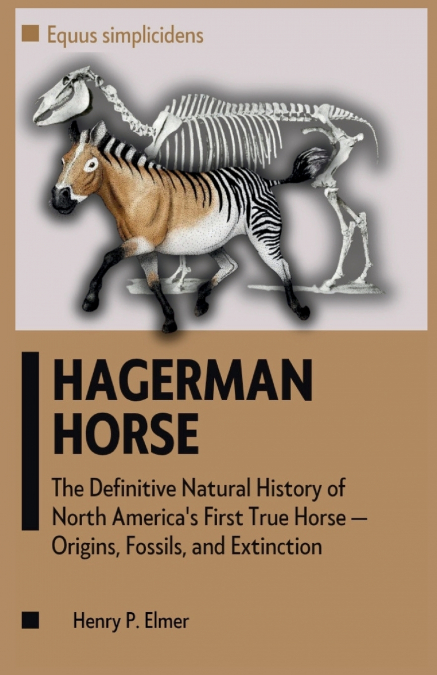 HAGERMAN HORSE (Equus simplicidens)