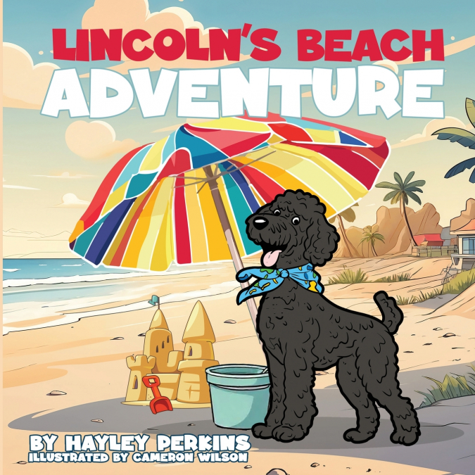Lincoln’s Beach Adventure