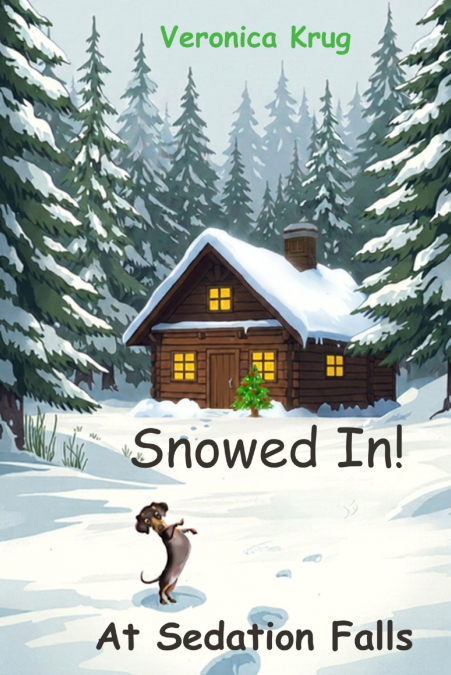 Snowed In! At Sedation Falls