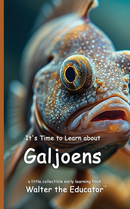It’s Time to Learn about Galjoens