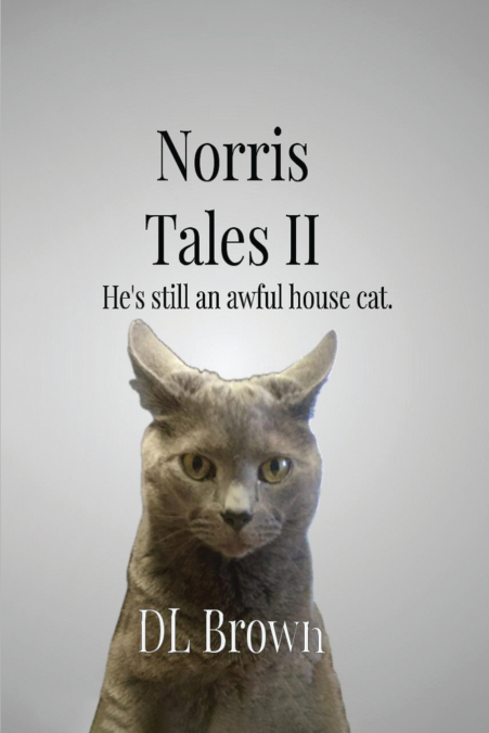 Norris Tales II