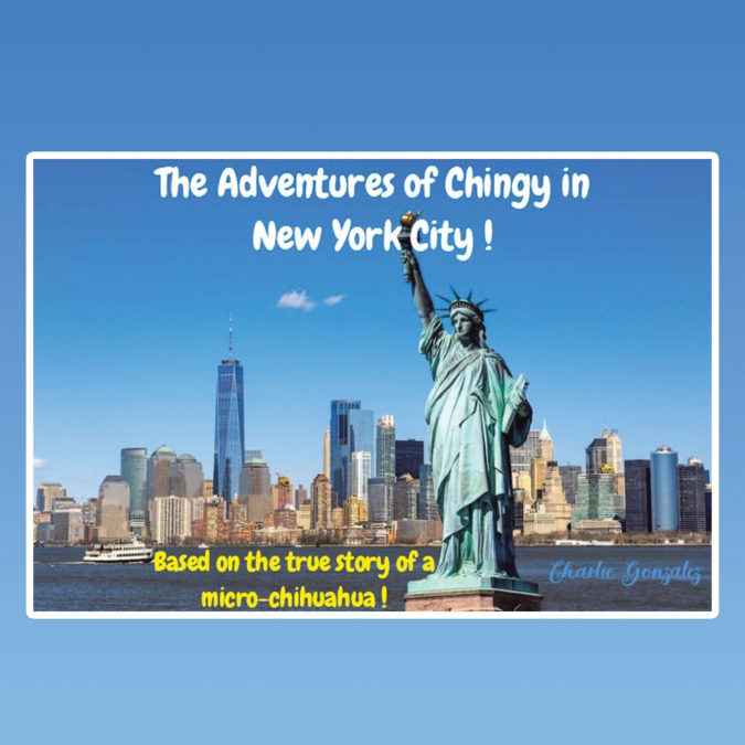 The Adventures of  Chingy  in New York City!